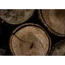 simul-wood-log-500x500.webp