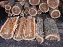elm-firewood-logs.webp