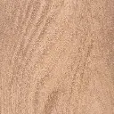 english-elm-s.webp