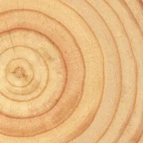 NZ Radiata Pine