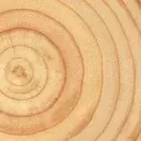 NZ Radiata Pine